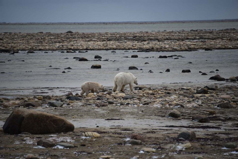 Churchill Manitoba Oct 2023 21